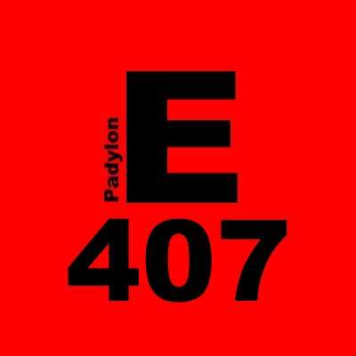 E407